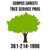 Corpus Christi Tree Service Pros image 1