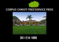 Corpus Christi Tree Service Pros image 2