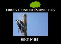 Corpus Christi Tree Service Pros image 3
