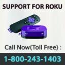 Support for Roku logo