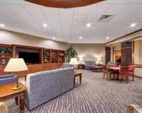 Comfort Inn  & Suites Plano East image 17