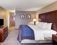 Comfort Inn  & Suites Plano East image 38