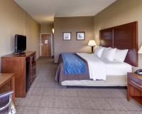 Comfort Inn  & Suites Plano East image 40