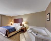 Comfort Inn  & Suites Plano East image 53