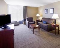 Comfort Inn  & Suites Plano East image 50