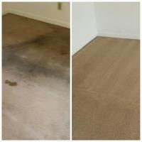 2nd Generation Carpet Cleaning image 9