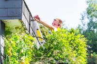 Mansfield Tree Service image 3