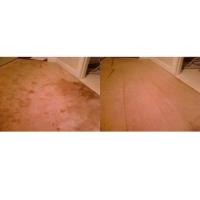 CitruSolution Carpet Cleaning image 4