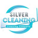 Silver Cleaning logo