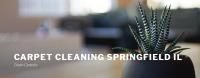 Carpet Cleaning Springfield IL image 1