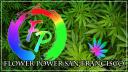 Flower Power Dispensary logo