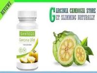 Santege Garcinia Diet image 1