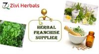 Zivi Herbals - Ayurvedic Products Manufacturer image 2