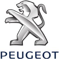 Peugeot Qatar image 1