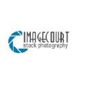 ImageCourt logo
