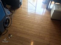 Carpet Cleaning Jollyville image 8