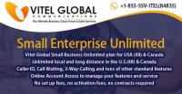Vitel Global Communications LLC. image 1