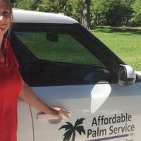 Affordable Palm Service, Inc. image 1