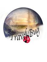 Travel Bug image 1