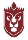 Catstrong Mold Inspection of Seguin logo