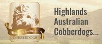 Highlands Australian Labradoodles image 1