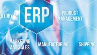 ERP Solutions in Chicago - Bugfree Technologies image 3
