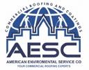American Enviromental Service Company  logo