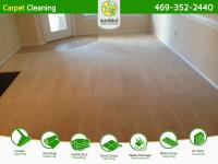 Sunbird Carpet Cleaning image 3