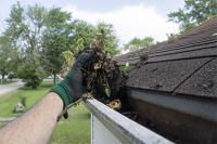 Integrity Roof Cleaning image 2