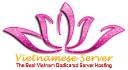 VietNameserver logo