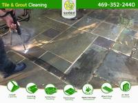 Sunbird Carpet Cleaning image 6
