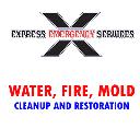 Express Emergency Services logo