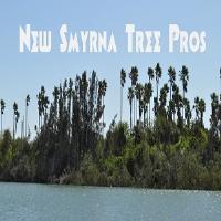 New Smyrna Tree Pros image 2