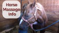 Armstrong Equine Massage, LLC image 3
