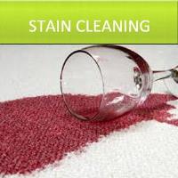 Carpet Cleaning Deluxe – Hollywood image 3