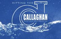 Callaghan Pump & Controls, Inc image 2