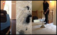 Sunbird Cleaning Services image 2