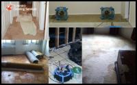 Sunbird Cleaning Services image 10