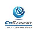 CoSapient logo