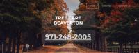 Tree care Beaverton image 9