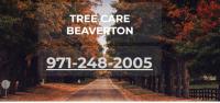 Tree care Beaverton image 10