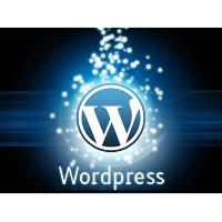 Wordpress Setup image 1