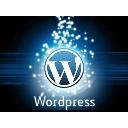 Wordpress Setup logo
