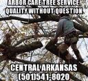 Arbor Care Tree Service logo