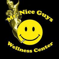 Mr. Nice Guys Wellness Center image 2