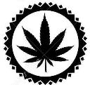 Buy blue dream and amnesia haze marijuana online logo