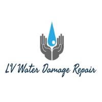 LV Water Damage Repair image 1