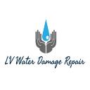 LV Water Damage Repair logo
