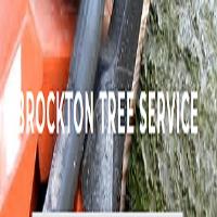 Brockton Tree Co image 1