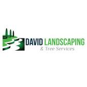 David Landscaping & Tree Services image 6